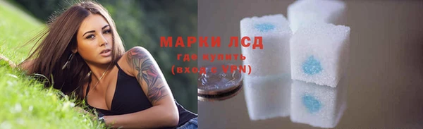 СК Арсеньев