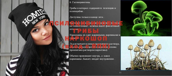 СК Арсеньев