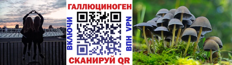 Купить закладки Бирск Псилоцибиновые грибы Psilocybine cubensis